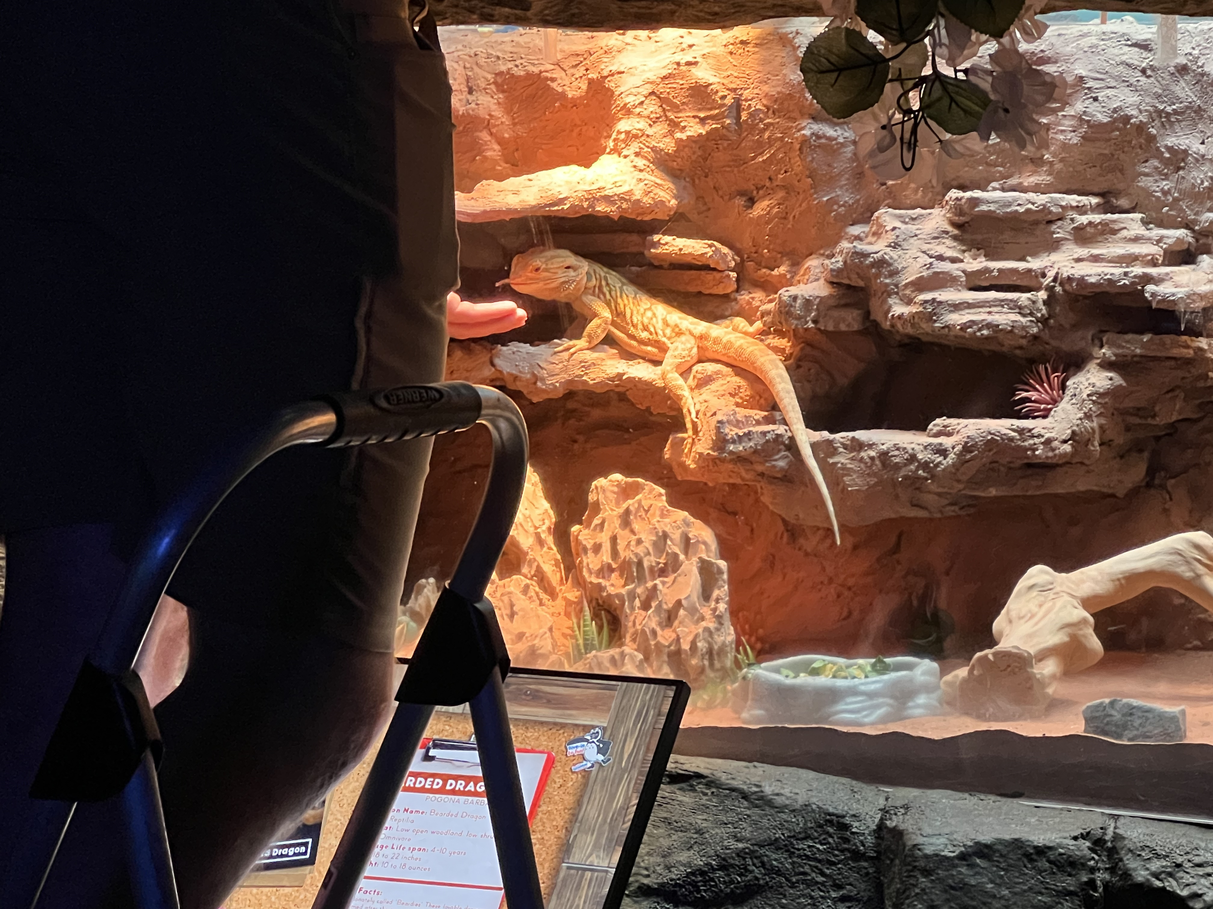 ./2024/10 - Myrtle Beach/IMG_3143.jpg